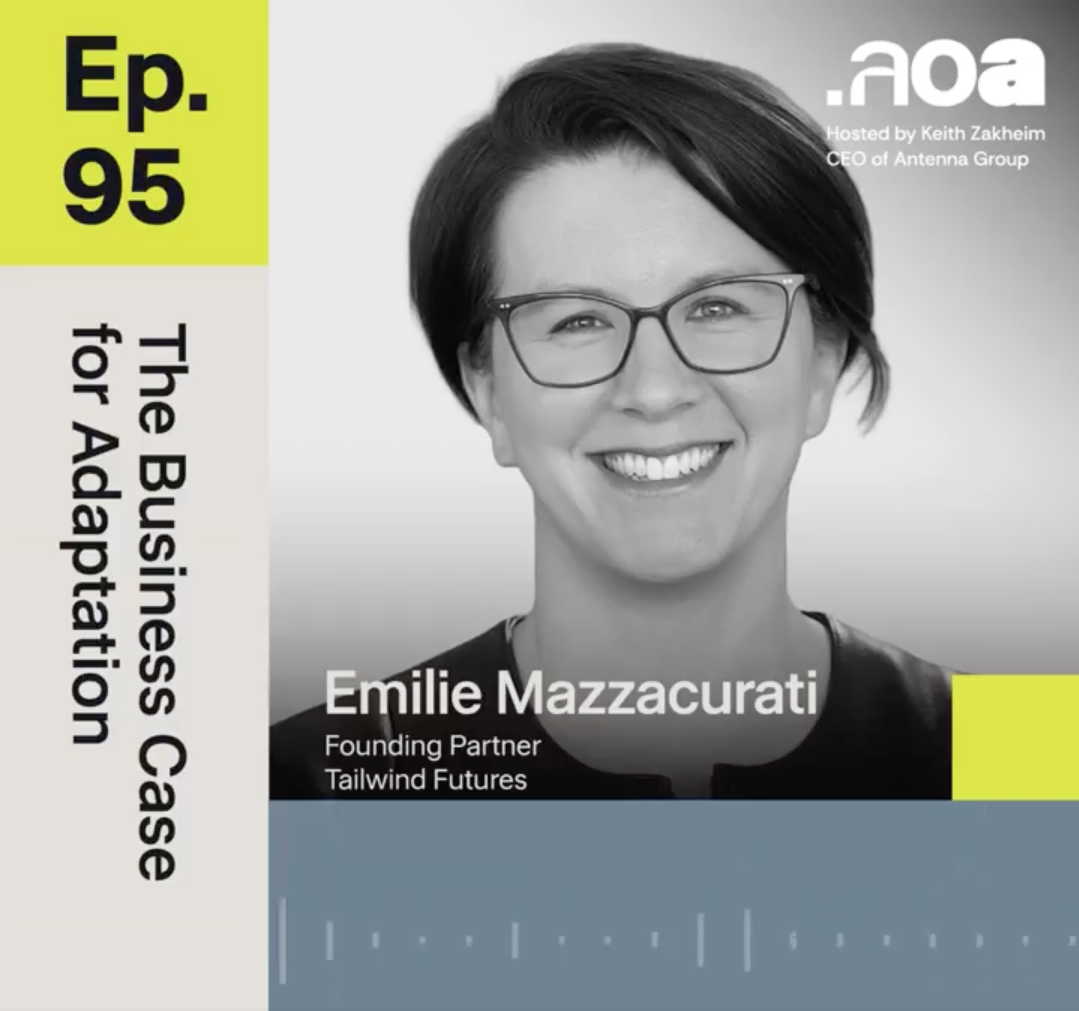 Age of Adoption: The Business Case for Adaptation