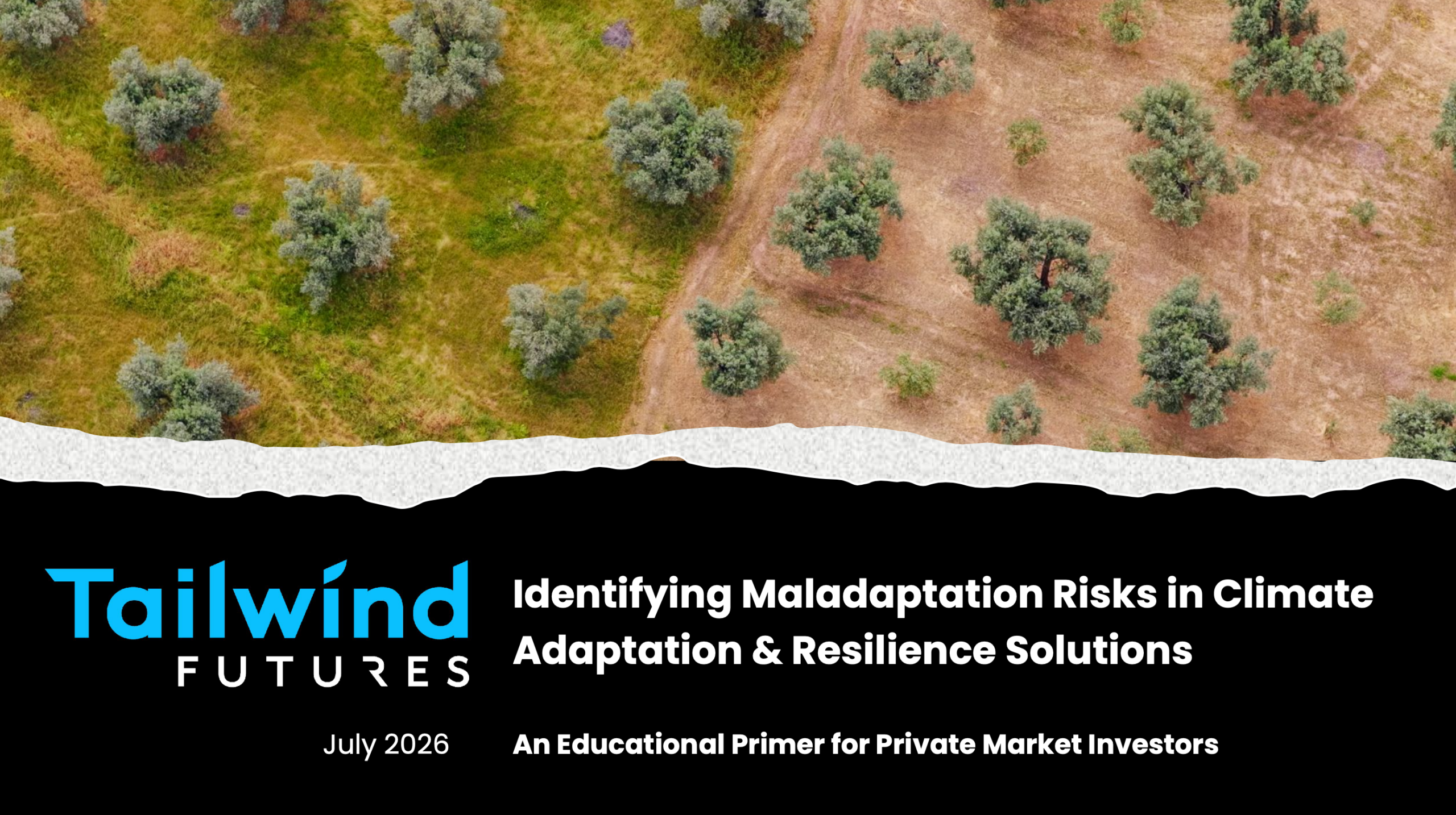 Maladaptation Diligence Toolkit Launch Webinar